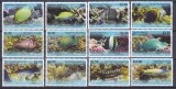 DB1 Fauna Marina Pesti 2013 Penrhyn 12 v. MNH, Nestampilat