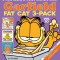 Garfield Fat Cat 3-Pack #20