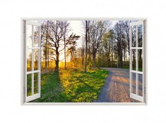 Autocolant decorativ, Fereastra, Natura si peisaje, Multicolor, 85 cm, 2050ST foto