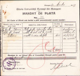 HST A914 Mandat 1929 Eforia Comunității Evreiești Botoșani