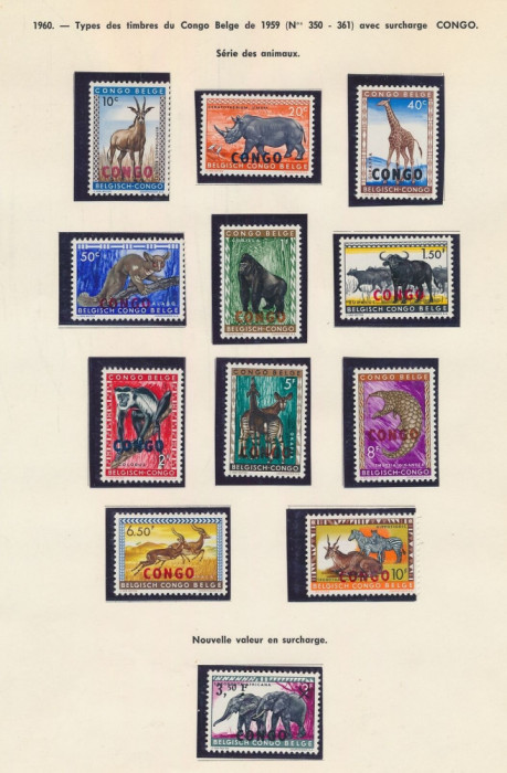 CONGO-ANIMALE-FAUNA AFRICANA-Serie de 12 timbre nestampilate cu supratipar
