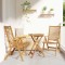 vidaXL Scaune de grădină 2 pcs Maro 52 x 64.5 x 108 cm 42006411