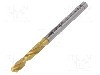 Burghiu pentru metal, 3.8mm, HSS-CO, lungime 55mm, ALPEN-MAYKESTAG - 0090700380100
