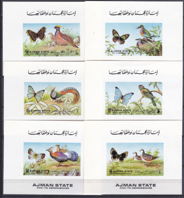 DB1 Pictura Ajman Fauna Pasari Fluturi 6 SS de lux MNH foto