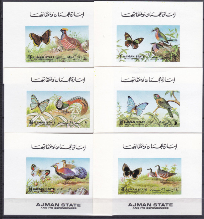 DB1 Pictura Ajman Fauna Pasari Fluturi 6 SS de lux MNH