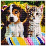 Cumpara ieftin Pictura cu Diamante 30x30 cm - Broderie Mozaic DIY, Catel si Pisica, Kit Complet, Decoratiune Interioara