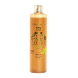 Sampon Iv San Bernard Green Caviar, pentru caini si pisici, 300ml