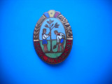 HOPCT ROMANIA INSIGNA VECHE PIONIER MICUL NATURALIST [ 2 ] PMS ARAD