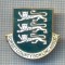 AX 336 INSIGNA BOWLING - DORSET COUNTY BOWLING ASSOC. -MAREA BRITANIE