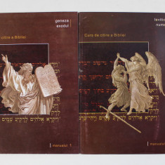 CURS DE CITIRE A BIBLIEI de FLORIN BICA si SEBASTIAN NEAGU , VOLUMELE I - II , 2010