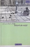 Boala Alzheimer de l&acirc;ngă noi. Istorii de viață - Aurora Heim, Brumar, carte despre Alzheimer, memorii, povești de viață, 2009