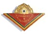 INSIGNA PIONIER FRUNTAS IN MUNCA PATRIOTICA CL 1 VARIANTA MARE PIONIERI ( CITITI DESCRIEREA ), Romania de la 1950