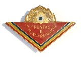INSIGNA PIONIER FRUNTAS IN MUNCA PATRIOTICA CL 1 VARIANTA MARE PIONIERI ( CITITI DESCRIEREA ), Romania de la 1950