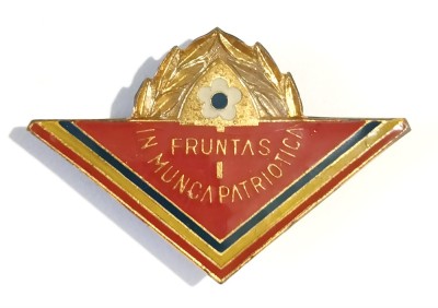 INSIGNA PIONIER FRUNTAS IN MUNCA PATRIOTICA CL 1 VARIANTA MARE PIONIERI ( CITITI DESCRIEREA ) foto