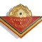 INSIGNA PIONIER FRUNTAS IN MUNCA PATRIOTICA CL 1 VARIANTA MARE PIONIERI ( CITITI DESCRIEREA )