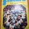 flacara 15 septembrie 1973-intreprinderea stofe brasov,ormatia sfinx si phoenix
