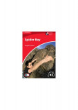 Spider Boy Level 1 Beginner/Elementary - Paperback brosat - Margaret Johnson - Cambridge