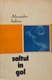 Saltul in gol - Alexandra Indries