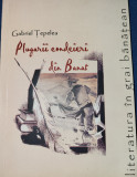 Gabriel Tepelea - Plugarii condeieri din Banat. Literatura in grai banatean