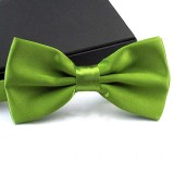 Papion pentru barbati, PP020, Verde