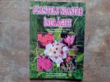 PLANTELE NOASTRE INDRAGITE - GHEORGHE MOLDOVAN