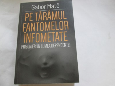 PE TARAMUL FANTOMELOR INFOMETATE - GABOR MATE foto