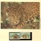 Belize 1983 - Jaguarul, Set WWF, 6 poze, MNH, (vezi descrierea)