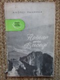 Andrei Pandrea - Hoinar prin Bucegi