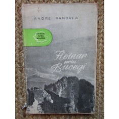 Andrei Pandrea - Hoinar prin Bucegi