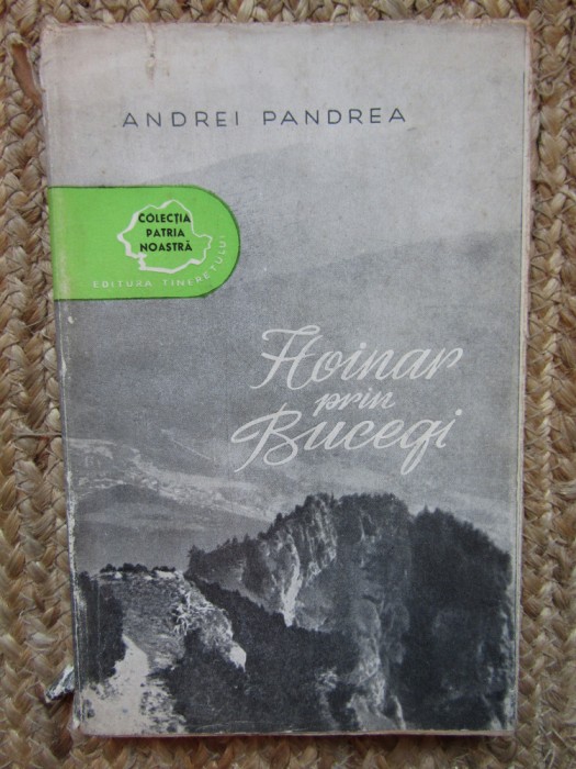 Andrei Pandrea - Hoinar prin Bucegi