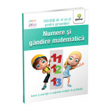 Numere si gandire matematica 5-6 ani/ Activitati de zi cu zi, Gama Junior
