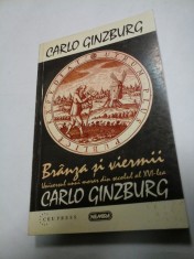 BRANZA SI VIERMII - CARLO GINZBURG