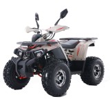 ATV Asix Fourcraft 125cc, A1, roti 8&quot;, jante din aluminiu, 3+1 viteze, culoare r... Cod Produs: MX_NEW A6-4C125483+1