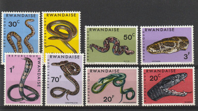 Fauna ,serpi ,Rwanda. foto
