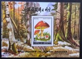 Ciuperci - Coreea de Nord (DPR Korea) 1995 - Coliță "Mushrooms in Alpine Regions" - Amanita Caesarea (Neștampilat / MNH) CP1_II