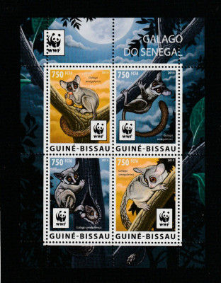 Guinea Bissau 2015-WWF,Fauna,Galago do Senegal,bloc 4 val.,MNH,Mi.8278-8281 KB I foto