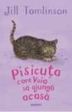Pisicuta care voia sa ajunga acasa - Jill Tomlinson