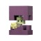 MINECRAFT CRAFT A BLOCK FIGURINA SHULKER 8CM