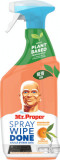 Mr.Proper Spray multisuprafețe mandarin, 800 ml, MR PROPER