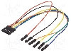 Cablu de conectare, mama-mama, DIGILENT - 6-PIN MTE CABLE foto