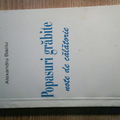 Alexandru Baciu - Popasuri grabite - note de calatorie (Editura Cartega, 1999)