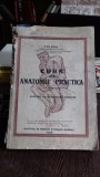 CURS DE ANATOMIE PRACTICA - I.TH. RIGA VOL.1 PARTEA I