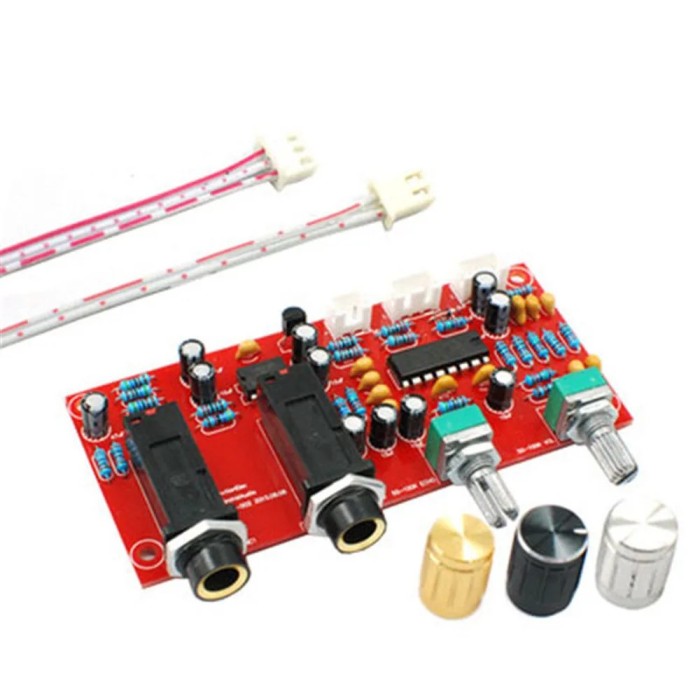 Kit preamplificator Karaoke