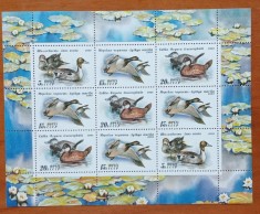 RUSIA/URSS-1991-FAUNA-PASARI de APA&amp;#039;&amp;#039;-COLITA-MNH NESTAMP. -Calitate EXTRA foto