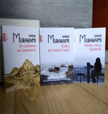 Pachet car?i Haruki Murakami foto