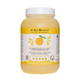 Sampon Fruit of the Groomer New Iv San Bernard Maracuja NEW, pentru caini si pisici, 3l