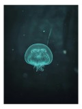 Tablou Canvas, "Meduză plutind &icirc;n ocean &icirc;ntunecat", Mister, Luminiscență, Profunzime, Delicatețe, Fluiditate, Misterios, Etereal, Subacvatic, Calm, Fr
