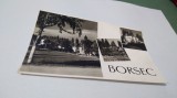 CARTE POSTALA BORSEC CIRCULATA