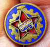 I.906 INSIGNA STICKPIN UNGARIA VASAS h16mm email, Europa