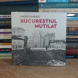 ANDREI PANDELE - BUCURESTIUL MUTILAT ( ALBUM FOTO ) , 2018 *